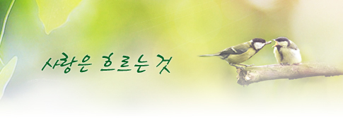 사랑은 흐르는 것