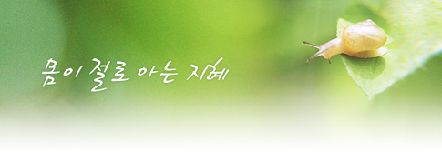 몸이 절로 아는 지혜