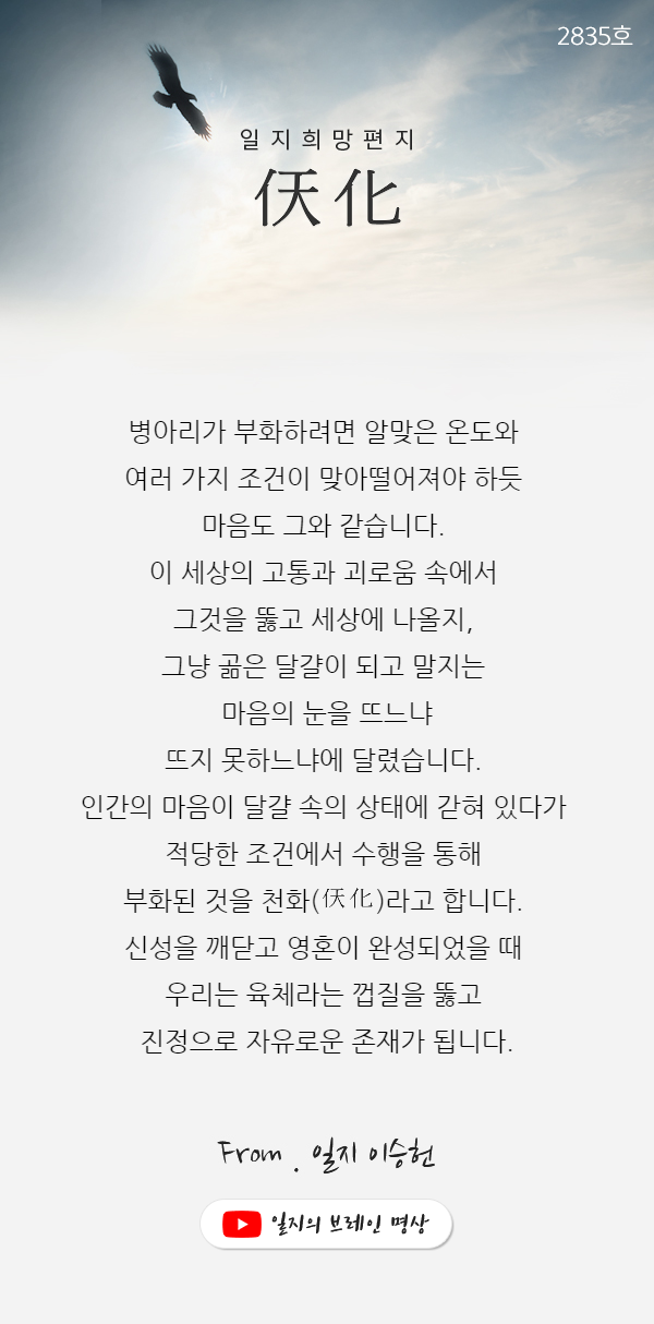 천화 이미지