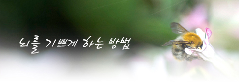 뇌를 기쁘게 하는 방법