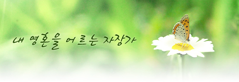 내 영혼을 어르는 자장가