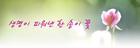 생명이 피워낸 한 송이 꽃