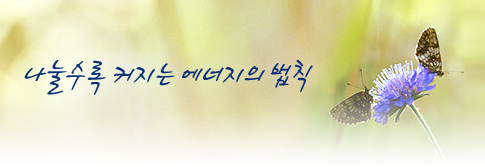 나눌수록 커지는 에너지의 법칙