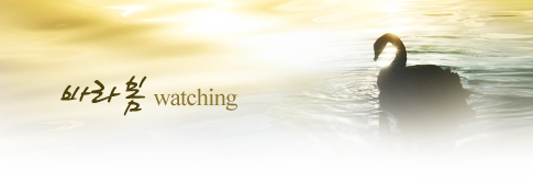 바라봄(watching)