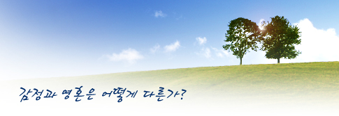 감정과 영혼은 어떻게 다른가?