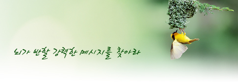 뇌가 반할 강력한 메시지를 찾아라
