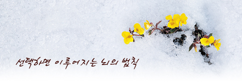 선택하면 이루어지는 뇌의 법칙