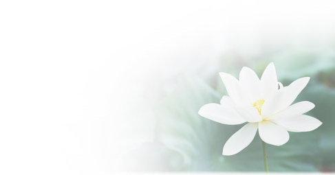 일지행복편지